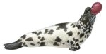 Hooded seal Hooded seal