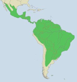 Range of the jaguar Range of the jaguar