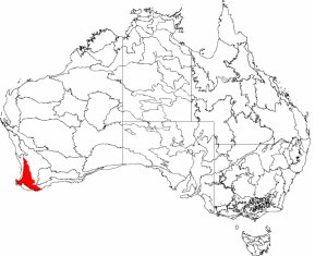 jarrah forest jarrah forest